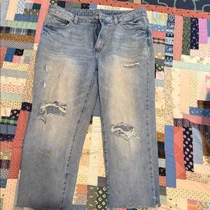 Time and Tru Light Blue High Rise Jeans